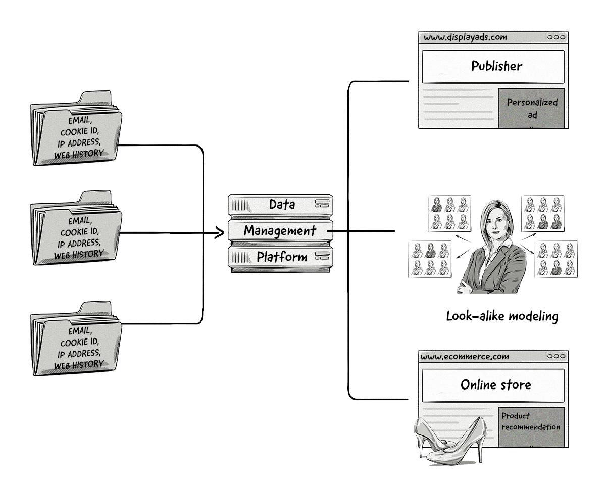 An overview of a DMP